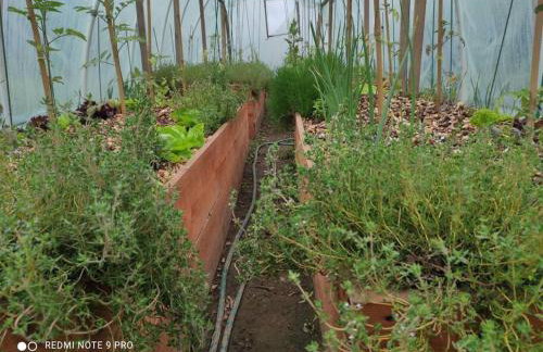 Komfortowy dom wakacyjny dla kilku rodzin - Foto 5