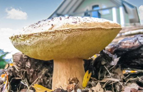 Awesome Home In Rybakowo With Wifi - Foto 17