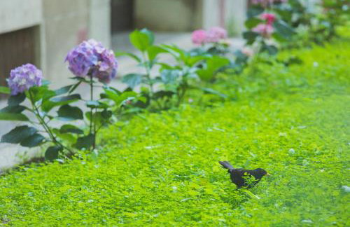 Luxury Apartment Padre Pio - Photo 33