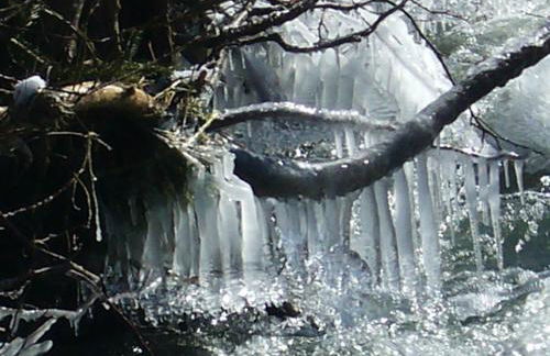 Relaxen im alten Winzerhaus Fewo OG - Foto 56