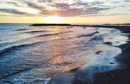 Fewo Zwergseeschwalbe - Ostsee at its best! - Foto 14
