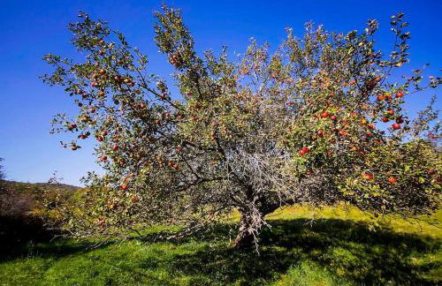 Stone Ledge - Photo 15