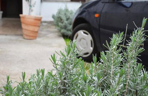 Apartman Roguljić - Photo 24