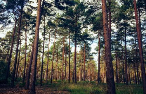 1 Bed Serviced Apartment Bracknell 5 mins from station - Photo 45