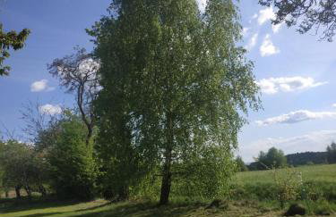 Ranczo pod lasem - Foto 30