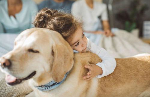 Residence Ciasa Giardun - Photo 42