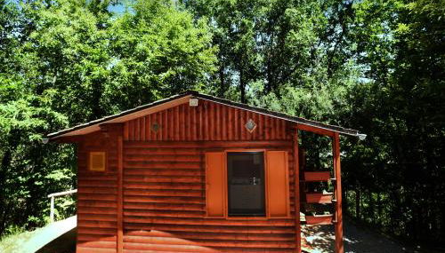 CHALET NEL BOSCO - TENUTA BOCCHINERI - Foto 5