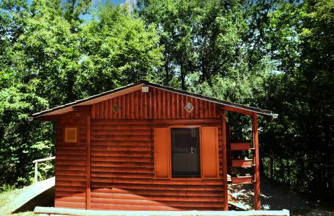 CHALET NEL BOSCO - TENUTA BOCCHINERI - Photo 5