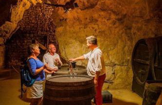 85 l idéal , quiet charm in Tours - Foto 79