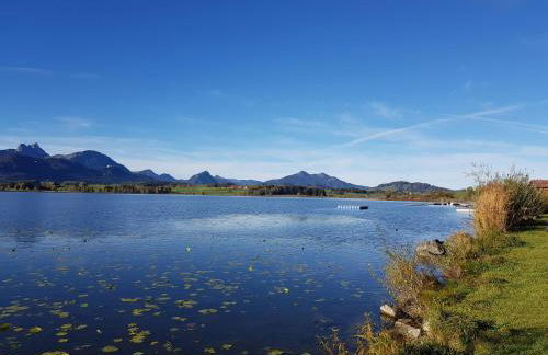 Villa im Wald - Photo 24