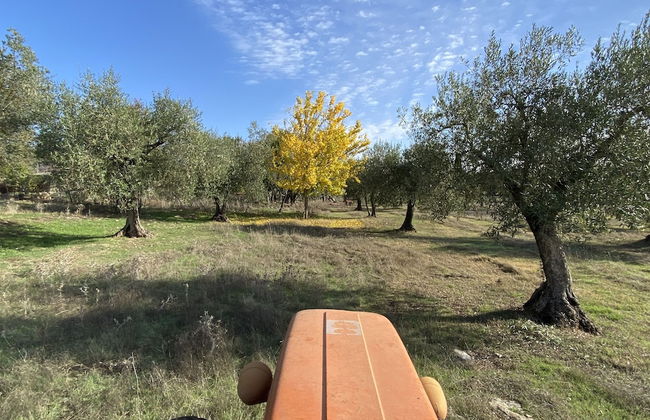 Agriturismo Podere Conte Ràcani - Foto 38