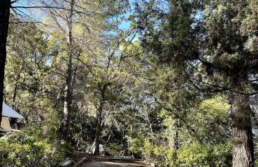 Les Ribas villa groupe, de 4 a 14 personnes, maison familiale, séjour nature, calme, Provence, Plaine des Maures, proche mer, Verdon, randonnée, terrain arboré, jeux enfants, pétanque, ping-pong, cuisine équipée, grande capacité, vacances en groupe - Foto 32