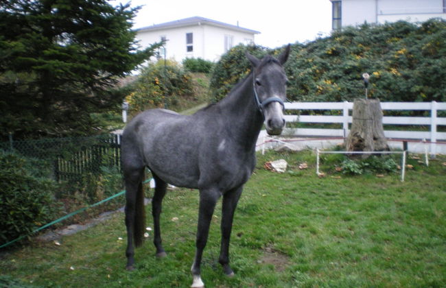 Modern Apartment in Wittenbeck With Terrace, Fenced Garden - Photo 62