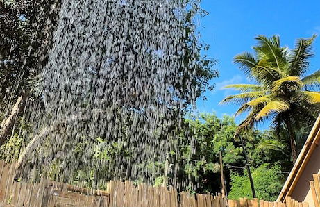 Cabana Pitomba - Foto 52