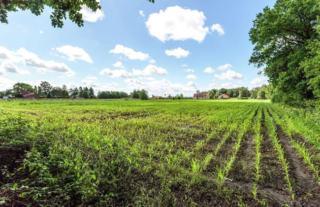 Quiet Cottage near Woods - Photo 36