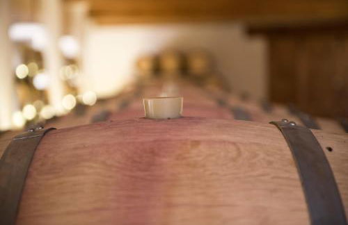 Cincinnato Wine Resort - Foto 73