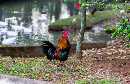 Polo Hotel Fazenda - Foto 79