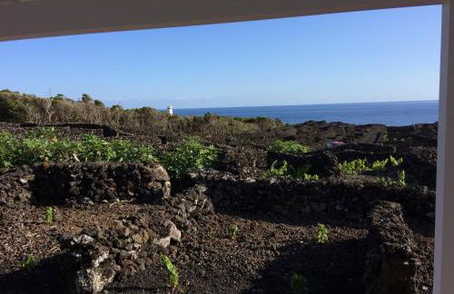 Insula Vinus Apartments - Photo 19