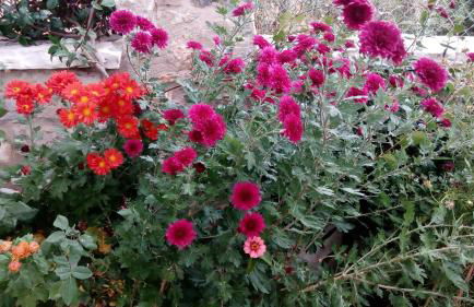 Mountain Ηouse in Arcadia - Foto 21