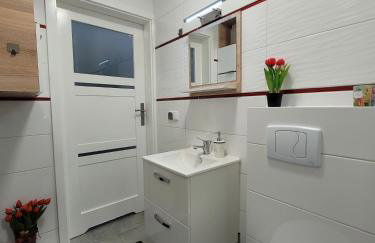 Apartamenty Parkowe nr 5 - Foto 10