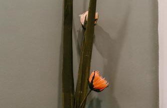 La Peregrina - Photo 58