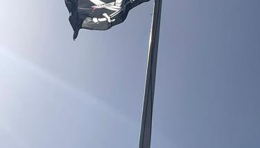 Surrey Street Retreat - Foto 2