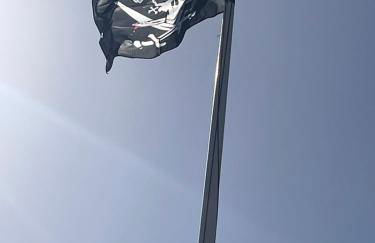 Surrey Street Retreat - Foto 2