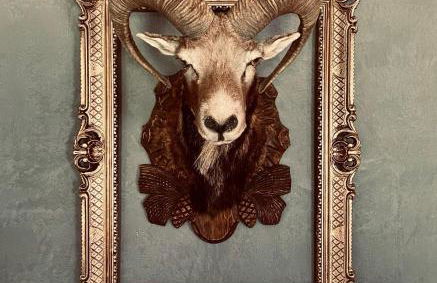 Chalet Sch l afbock - Foto 19