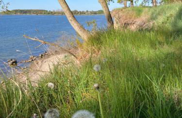 Ich kenne ein Haus am Meer - Foto 47