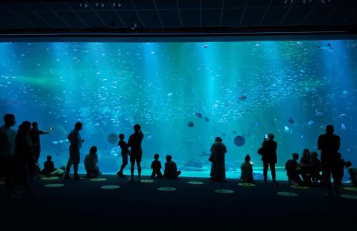 Un instant avec vous - Foto 38