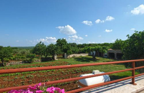 Apartments Mirjana 1655 - Foto 18