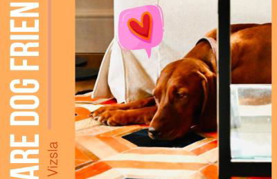 The Stables Hideaway - Foto 25