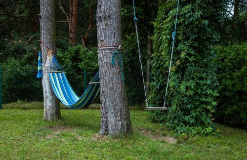 Mazurska Ostoja z Łódką- Jędrzejki - Foto 7