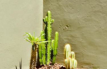 Nuevo apartamento en La Laguna - Foto 33