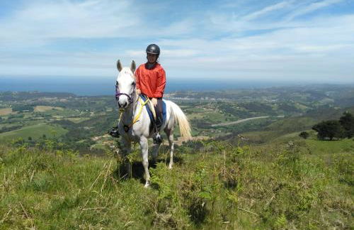 Bajo Los Tilos - Foto 11