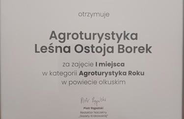 Agroturystyka Leśna Ostoja Borek - Foto 4