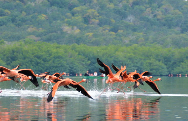 Giro in barca nella laguna Guanaroca - Foto 1