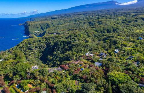 Jasmine Suite on Lush farm in Haiku, Maui jungle - Photo 21