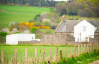 Wynstone Cottage, Speyside - Foto 27