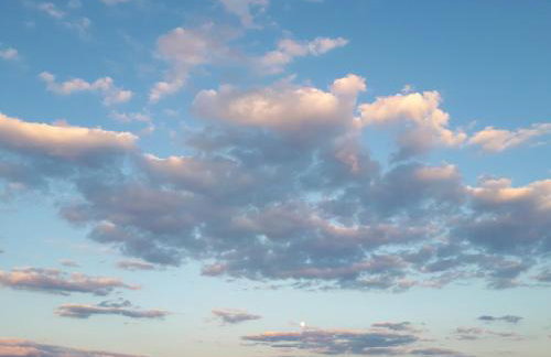 Iris Sabunike - Photo 50