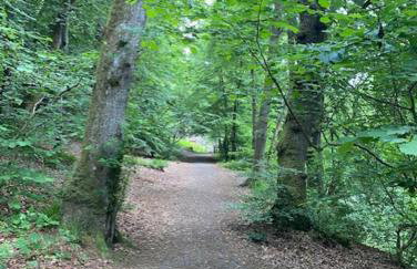 Blairgowrie Luxury 3 Bed Lodge With Hot Tub - Foto 80