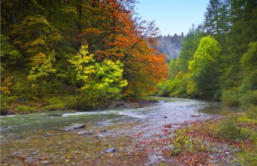 Alojamientos Rurales Apezarena - Foto 33