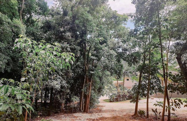 Recanto das Videiras - Foto 55