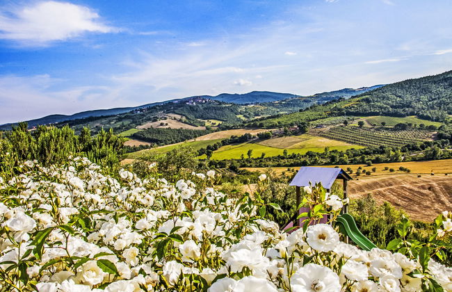 2 bedroom Apartment in Allerona with swimming pool and garden - Photo 21