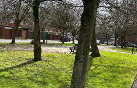 The Ol-Mumps Cozy Corner - Foto 38