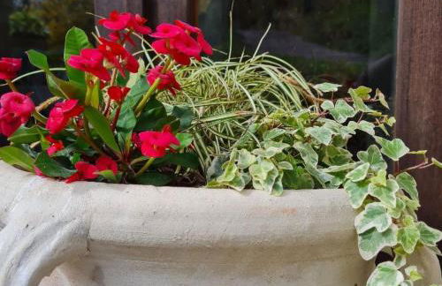 Holiday Home Von der Festung zum Meer - Ihr Zuhause in San Leo by Interhome - Foto 21