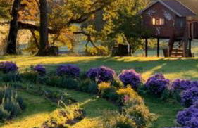 Romantik Unterkünfte Gut Rechetsberg - Foto 8