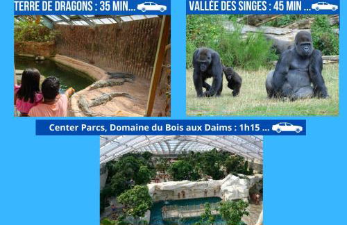 Bel Appartement T2 Climatisé avec piscine Poitiers-Futuroscope-CREPS de Poitiers - Foto 16