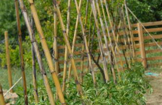 Casa Rural Ahoraya - Foto 77