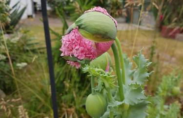 Haus am Markt - Foto 17